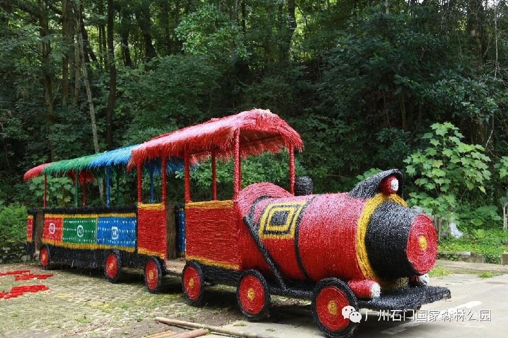 森林小火车—森林里的一道亮丽风景线